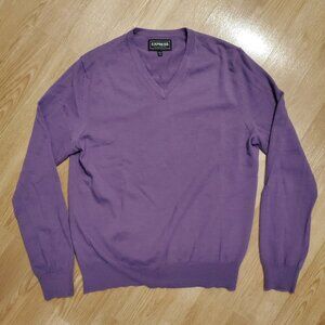 Express Men's V-Neck Merino Wool Sweater